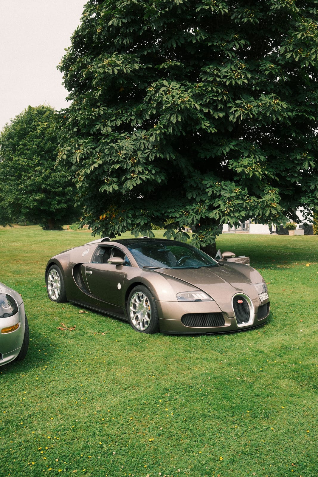Bugatti Veyron